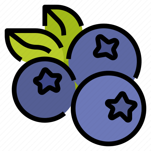 Blueberry, fruit, healthy, vegetarian icon - Download on Iconfinder