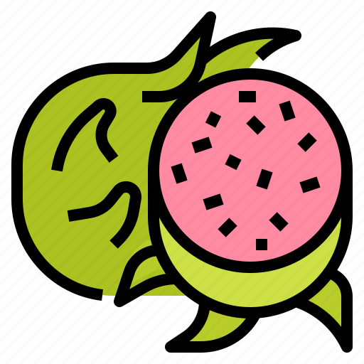 Dragonfruit, fruit, healthy, vegetarian icon - Download on Iconfinder
