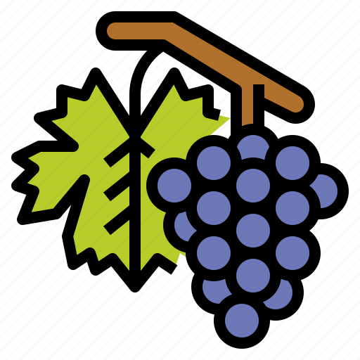 Fruit, grape, healthy, vegetarian icon - Download on Iconfinder