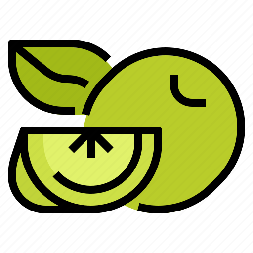 Fruit, healthy, lime, vegetarian icon - Download on Iconfinder