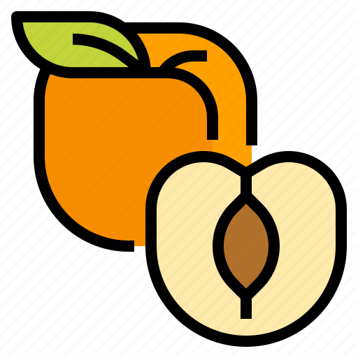 Fruit, healthy, peach, vegetarian icon - Download on Iconfinder