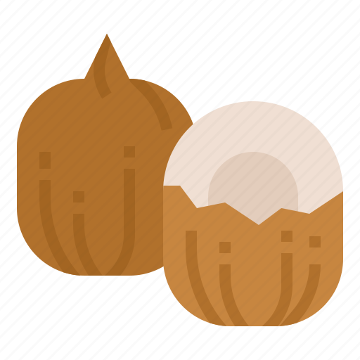 Coconut, fruit, healthy, vegetarian icon - Download on Iconfinder