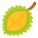 durian, fruit, healthy, vegetarian