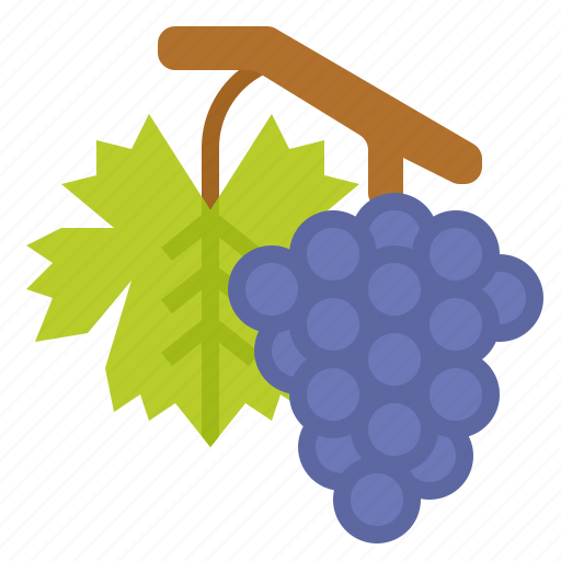 Fruit, grape, healthy, vegetarian icon - Download on Iconfinder