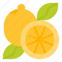 fruit, healthy, lemon, vegetarian 