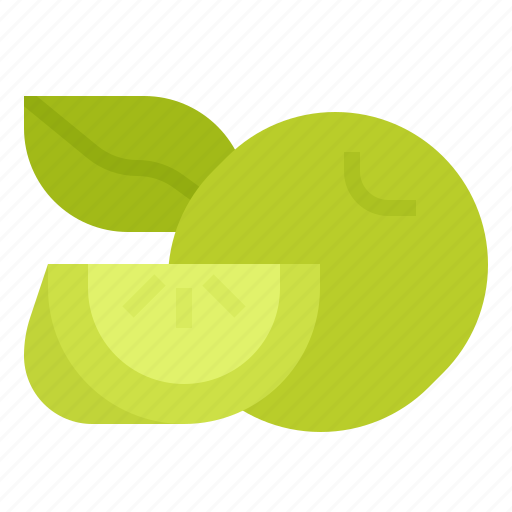Fruit, healthy, lime, vegetarian icon - Download on Iconfinder