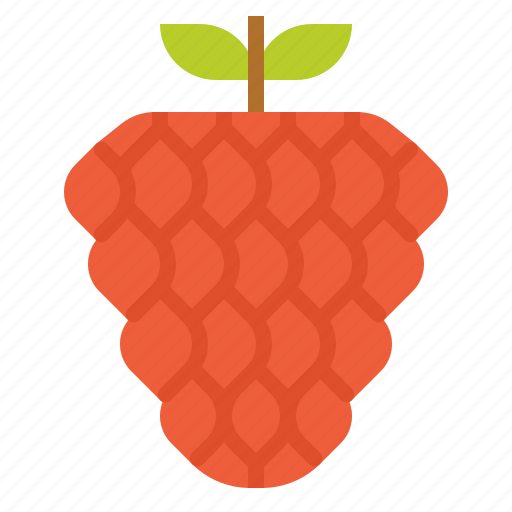 Fruit, healthy, raspberry, vegetarian icon - Download on Iconfinder