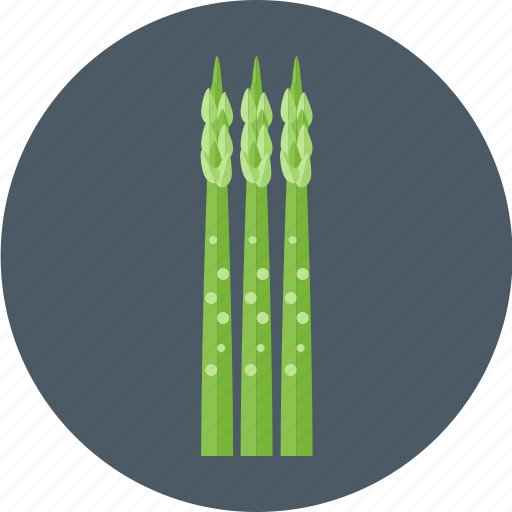 Asparagus, vegetable icon - Download on Iconfinder