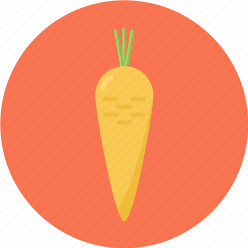 Carrot, orange, orange fruit icon - Download on Iconfinder
