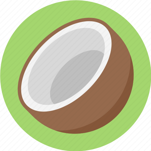 Coconut, coconut fruit, coconut slice icon - Download on Iconfinder