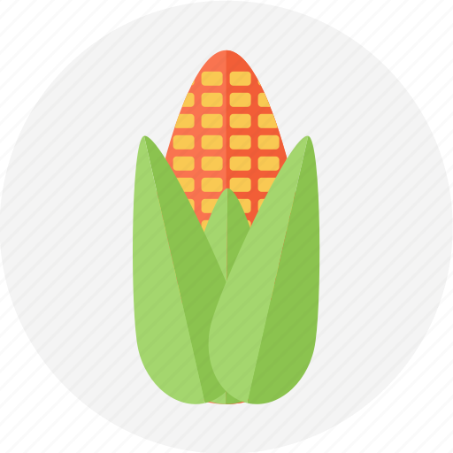 Corn, japanesecorn, sweetcorn, yellow corn icon - Download on Iconfinder