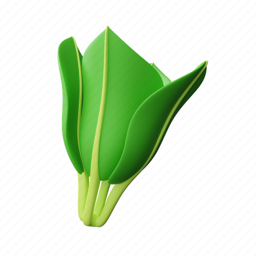 Lettuce, leaf, organic, plant, agriculture, nature, nutrition icon - Download on Iconfinder