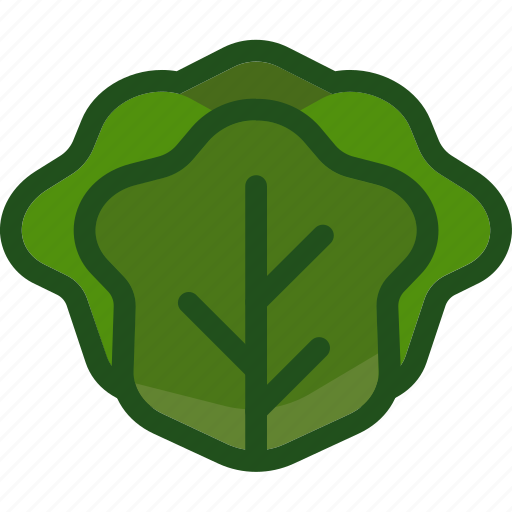 Cabbage, food, lettuce, plant, vegetable icon - Download on Iconfinder
