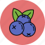 blueberries, fruit, nutritious, sweet 