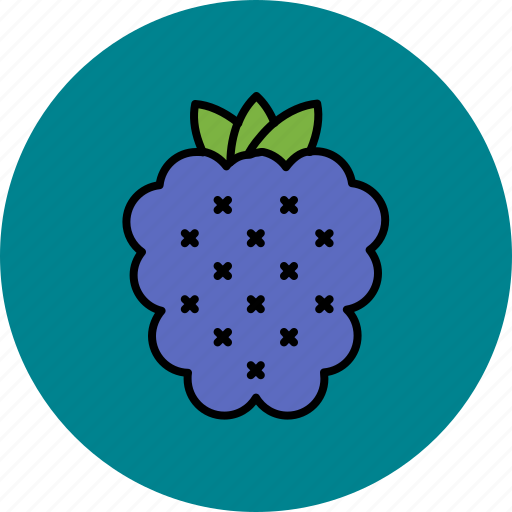 Food, fruit, grapes, juicy, sweet icon - Download on Iconfinder