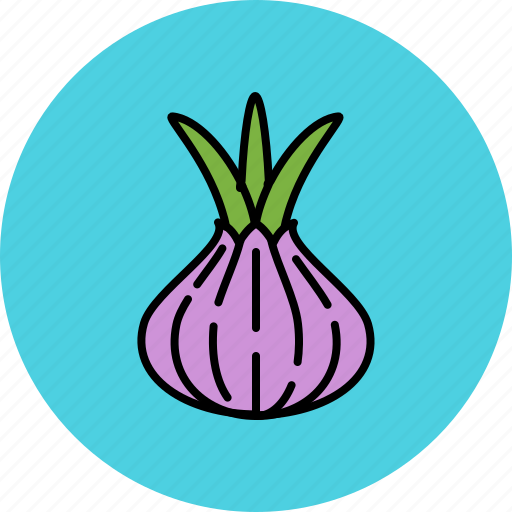 Crunchy, onion, spring, taste, vegetable icon - Download on Iconfinder