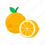 citrus, food, vitamin, lemon, orange 