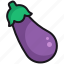 eggplant, food, vegetable, vegan, healthy 