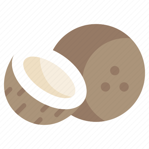 Coconut, fruit, healthy, tropical, food icon - Download on Iconfinder