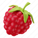 raspberry, food, fruit, fresh, healthy