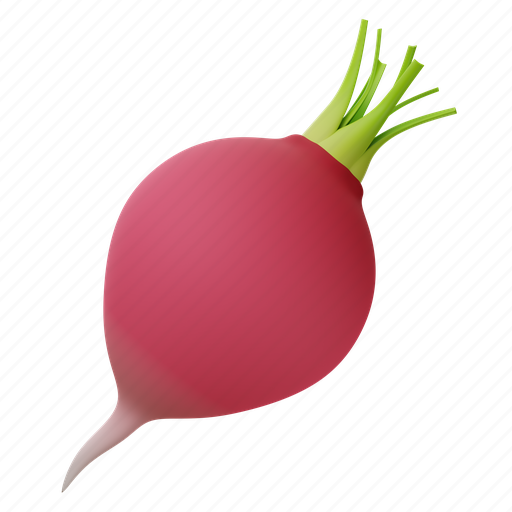 Radish, vegetable, plant, fresh, healthy, vegetarian, organic 3D illustration - Download on Iconfinder