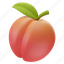 peach, apricot, fruit, nectarine, plum 