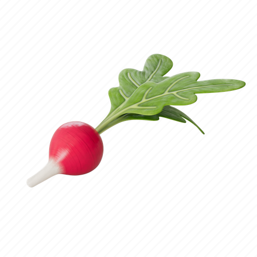 Radish, vegetable, healthy, food 3D illustration - Download on Iconfinder