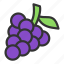 berry, blackcurrant, crop, grape 