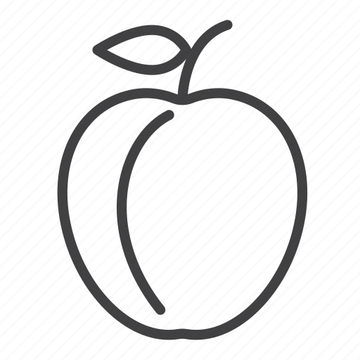 Fruit, plum icon - Download on Iconfinder on Iconfinder