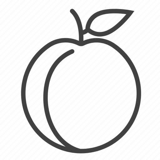Fruit, peach icon - Download on Iconfinder on Iconfinder
