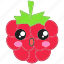 berry, cute, raspberry icon, raspberry, kawaii 