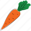 carrot, diet, healthy diet, nutrition, root vegetable, vegetable 