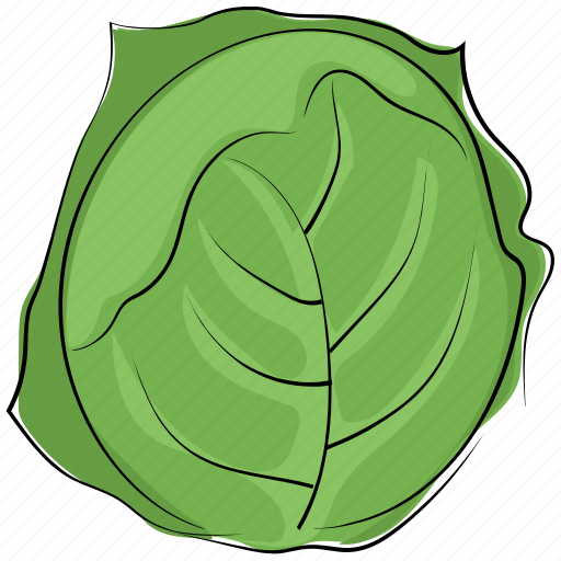 Cabbage, diet, food, healthy diet, nutrition, vegetable icon - Download on Iconfinder