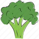 broccoli, food, healthy food, nutrition, vegetable