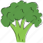 broccoli, food, healthy food, nutrition, vegetable 