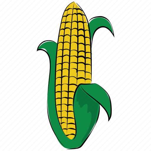 Corn, food, maize, pole corn, sugar corn, sweet corn icon - Download on Iconfinder