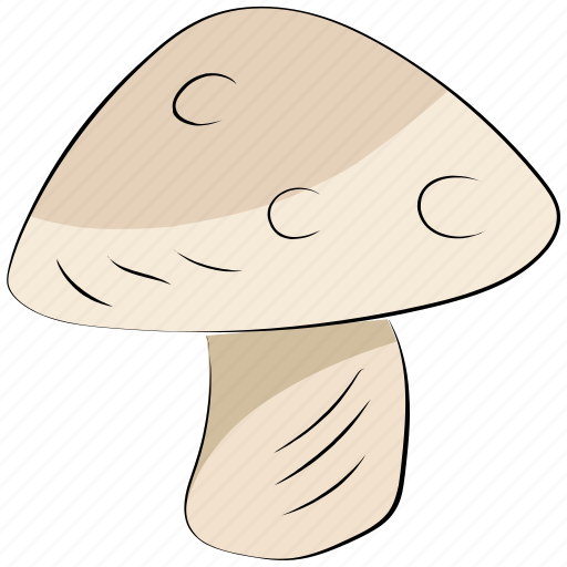 Diet, food, fungi, mushroom, mushroom button, toadstool icon - Download on Iconfinder