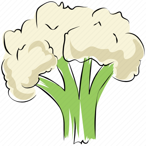 Brassicaceae vegetable, cauliflower, diet, healthy diet, vegetable icon - Download on Iconfinder