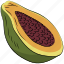 alligator pear, avocado, avocado pear, fruit, pear, tropical fruit 