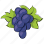 bunch of grapes, fruit, gather grapes, grapes, wine grapes 