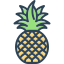 pineapple, tupi nanas, comosus, bromeliaceae, tasty, sour, fresh juicy 