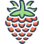 raspberry, berry, fruit, nutrition, juicy, rubus, idaeus 