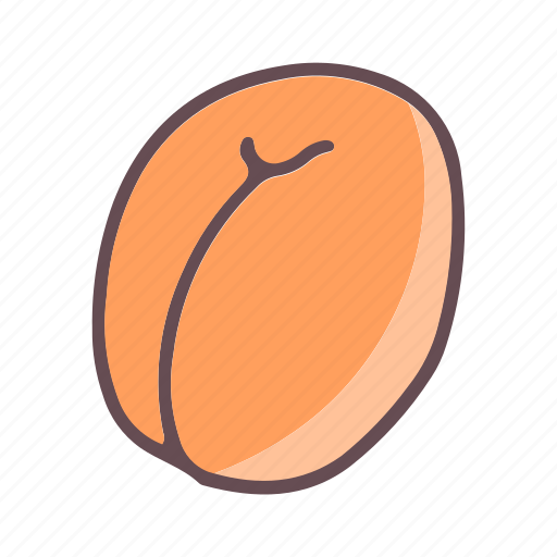 Apricot, eat, food, fruit icon - Download on Iconfinder