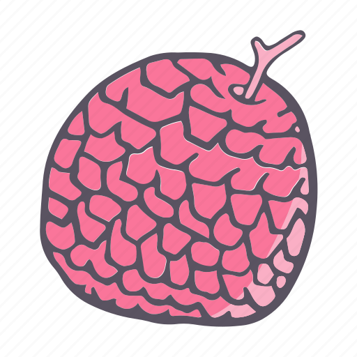 Eat, food, fruit, litchi, lychee icon - Download on Iconfinder