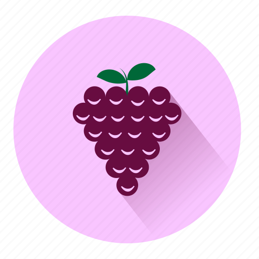 Grapes, dessert, drink, fresh, fruit, graphs, sweet icon - Download on Iconfinder