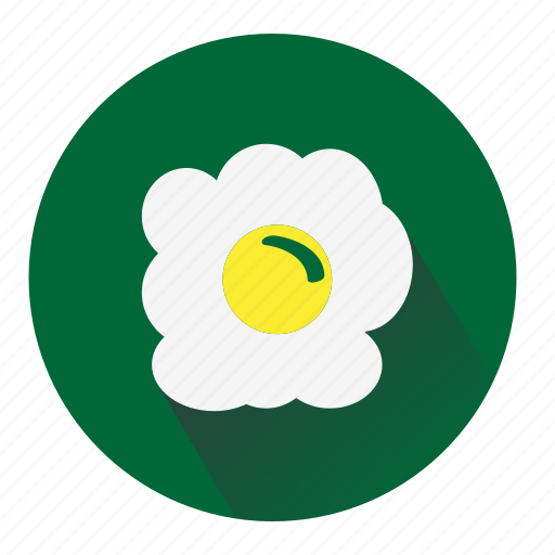 Omlet, chicken, egg, green, white, yellow icon - Download on Iconfinder