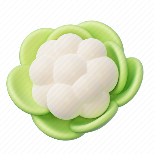Cabbage, fresh, vegan, vegetable, food, healthy, meal 3D illustration - Download on Iconfinder