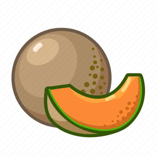 Cantaloupe, fruit, sweet, natural, fresh, exotic, food icon - Download on Iconfinder
