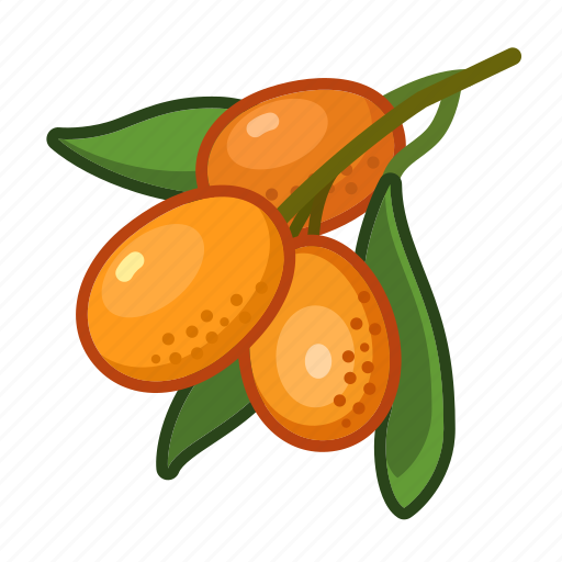 Kumquad, fruit, sweet, natural, fresh, food, exotic icon - Download on Iconfinder