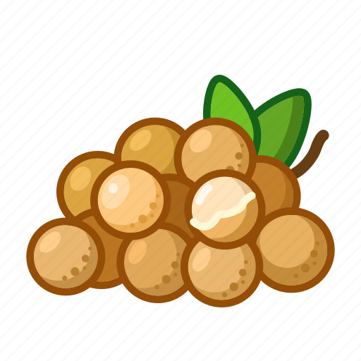 Longan, fruit, sweet, natural, fresh, exotic, food icon - Download on Iconfinder